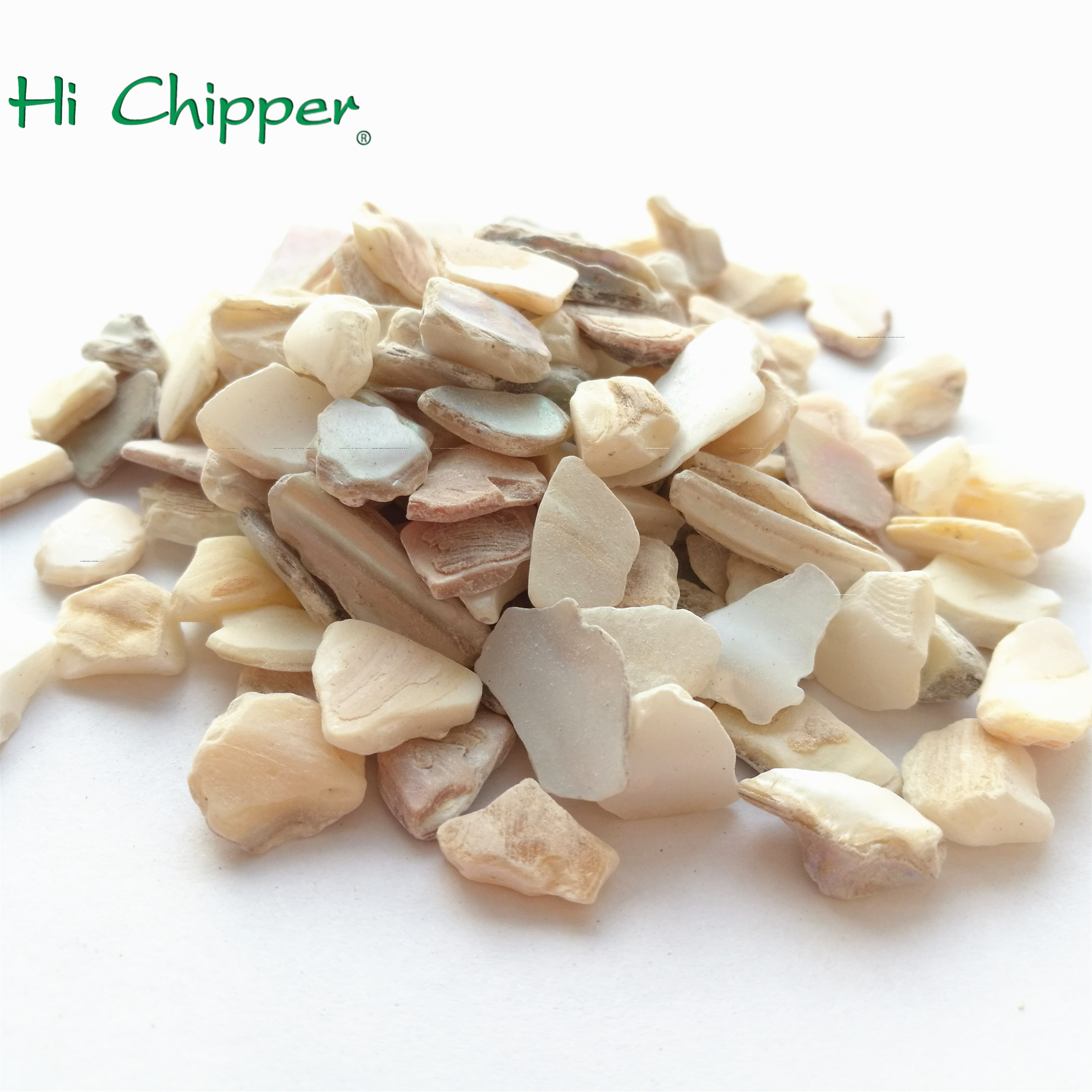 진주 칩의 으깬 어머니